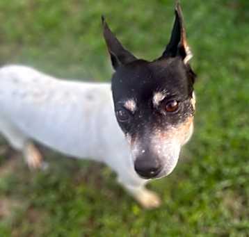 Photo of Dorothy