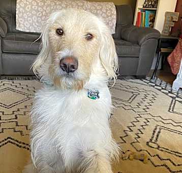 Photo of Zeke