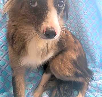Photo of Evie Jan 25
