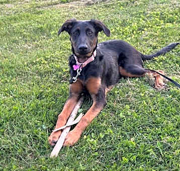 Photo of Sybil