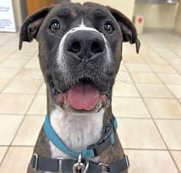 Photo of 179245 Axel