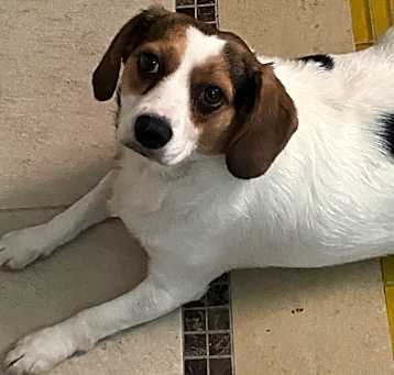 Photo of Gorda