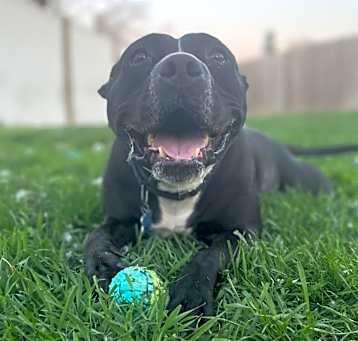 Photo of Jake