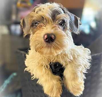 Photo of Marti