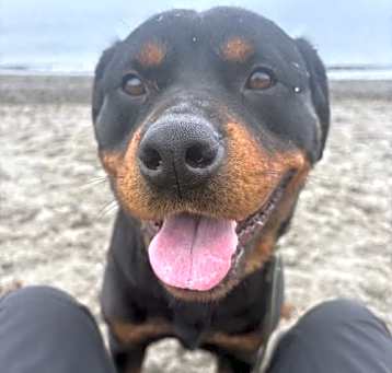 Photo of Missy