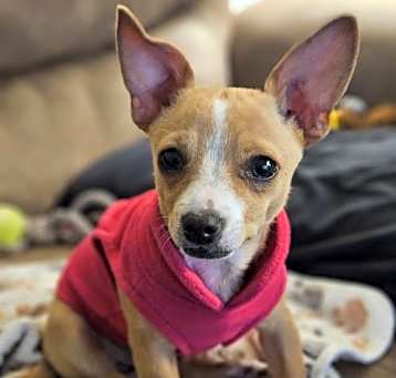 Photo of Ginny