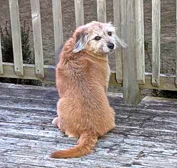 Photo of Tessa