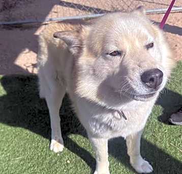 Photo of GHOST
