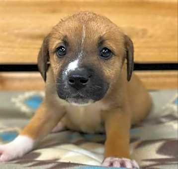 Photo of Arya