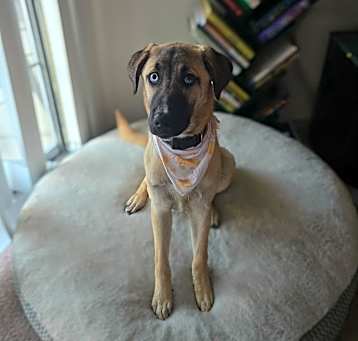Photo of Anakin