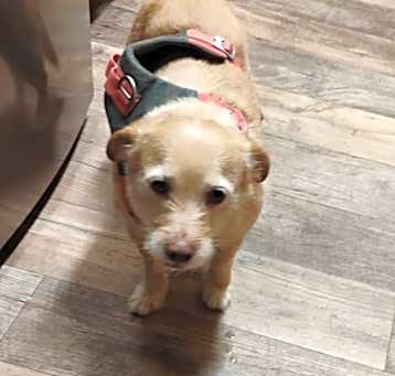 Photo of Maggie