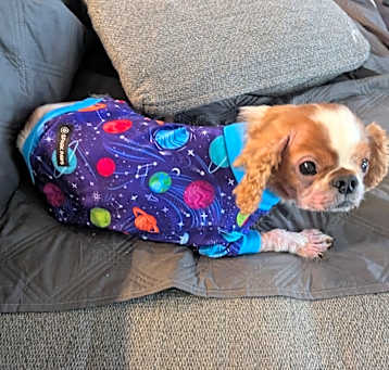 Photo of Duke