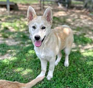 Photo of Emmi