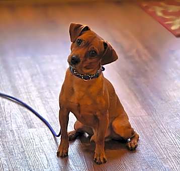 Photo of Underdog