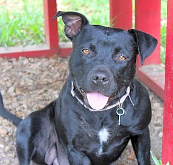 Photo of Jelly