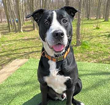 Photo of Moochie