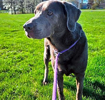 Photo of Jake