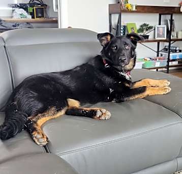Photo of Martha