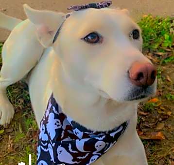 Photo of Suki