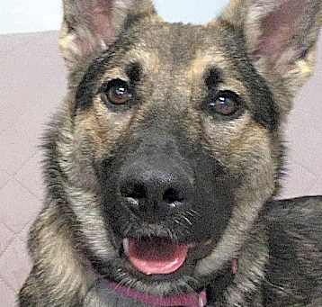 Photo of Ayla