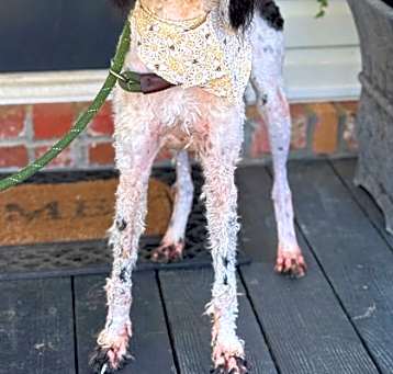 Photo of Raley (Cocoa)