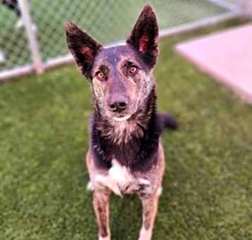 Photo of Daisy Mae