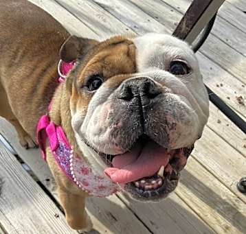 Photo of Eloise