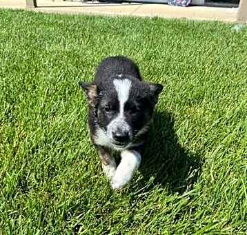 Photo of Maxine
