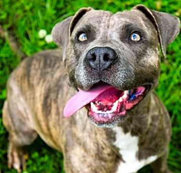 Photo of Nyla