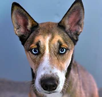 Photo of Lila