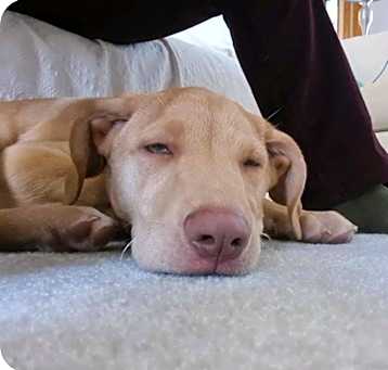 Photo of Winkie