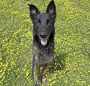 Photo of 2501-0734 Saint