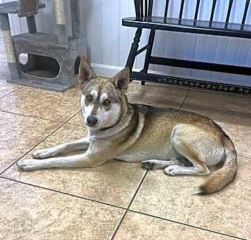 Photo of Wile E
