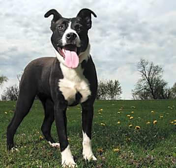 Photo of Spirit