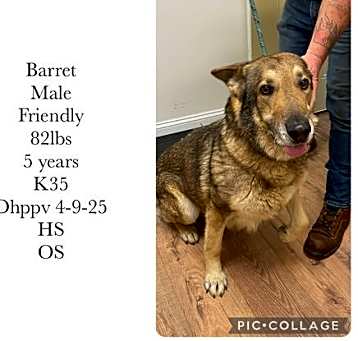 Photo of Barrett