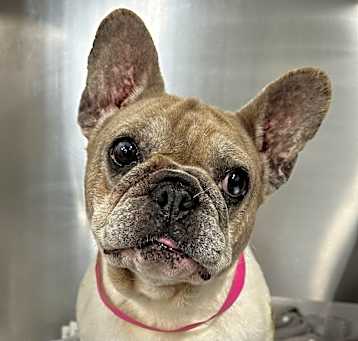 Photo of Mercy
