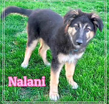 Photo of Nalani