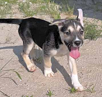 Photo of Kiki