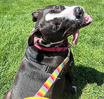 Photo of Candy