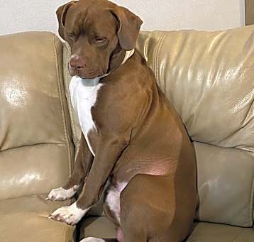Photo of Duke