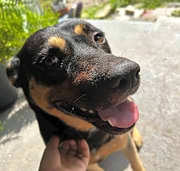 Photo of Kida