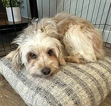 Photo of Bonita