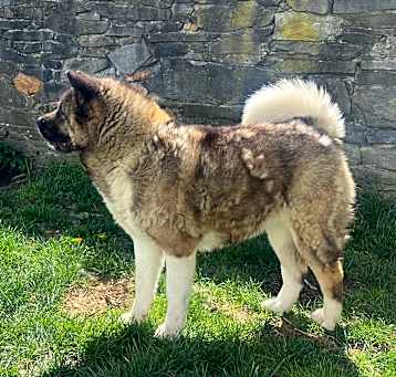 Photo of Dora