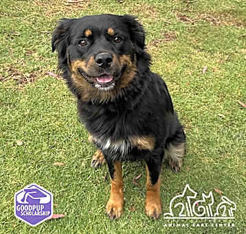 Photo of AURORA