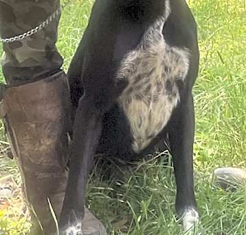 Photo of socks