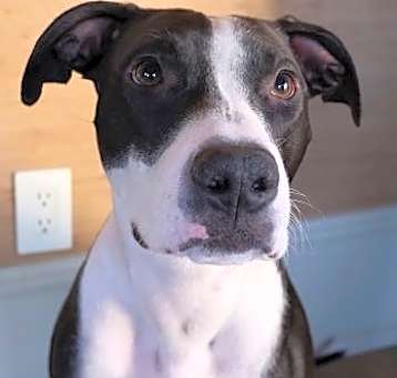 Photo of Miss Daisy