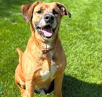 Photo of BURTUS