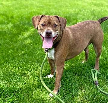 Photo of COCO