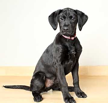 Photo of Jett D64408