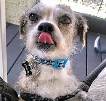 Photo of Gary